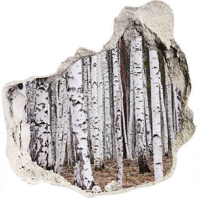 Sticker mural effet trou Oasis forestière de bouleaux blancs