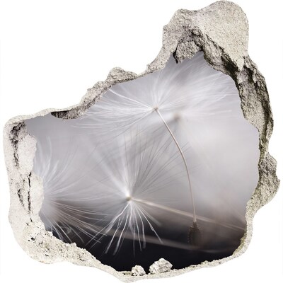 Sticker mural effet trou Pissenlits dans le béton