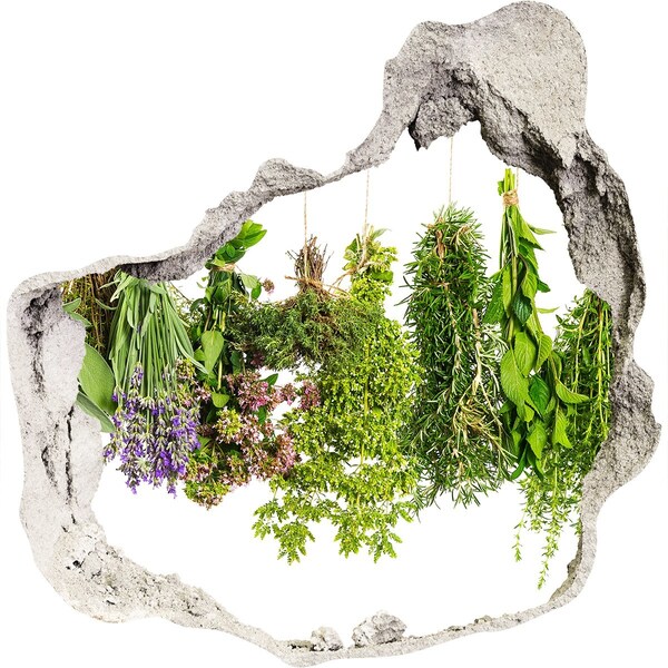 Sticker trou dans le mur oasis de verdure avec des herbes aromatiques