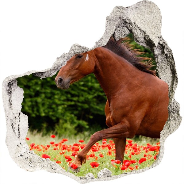 Autocollant à effet 3d trou Un cheval dans un champ de coquelicots
