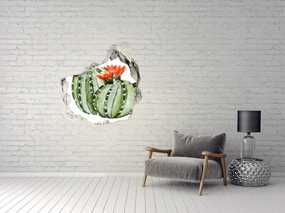 Sticker mural effet trou Un cactus avec une fleur dans un trou dans le mur