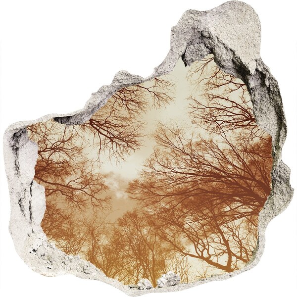 Sticker mural effet trou Reflet d'arbres dans un mur en ruine