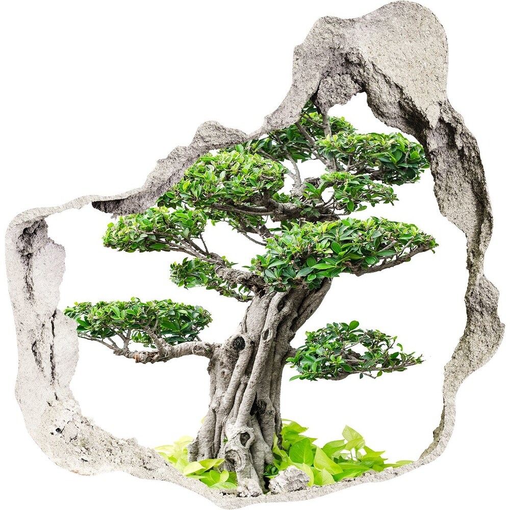 Autocollant à effet 3d trou Un bonsai grès