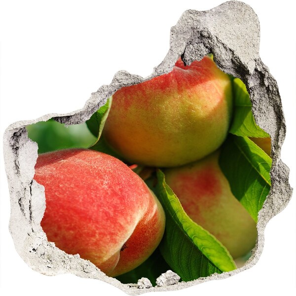 Sticker trou dans le mur verger de pommiers