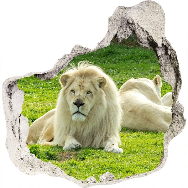 Sticker mural effet trou Lion blanc dans son habitat naturel