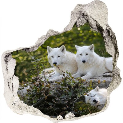 Sticker mural effet trou Loups arctiques dans leur habitat naturel