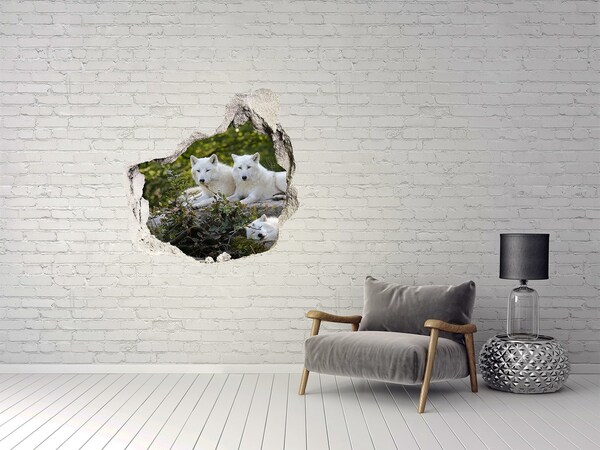 Sticker mural effet trou Loups arctiques dans leur habitat naturel