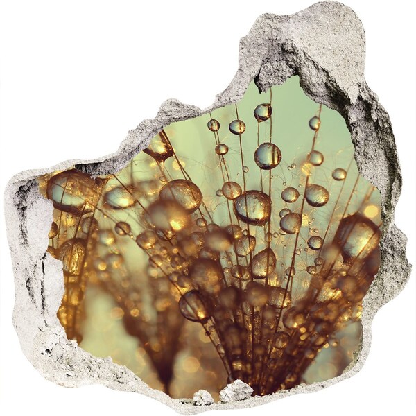 Autocollant mural trou Des gouttes sur les cheveux délicats