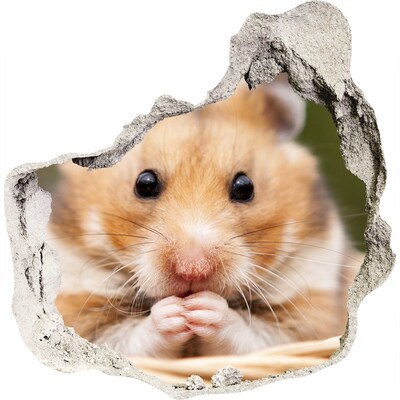 Sticker mural effet trou Hamster dans un trou transparent dans le mur