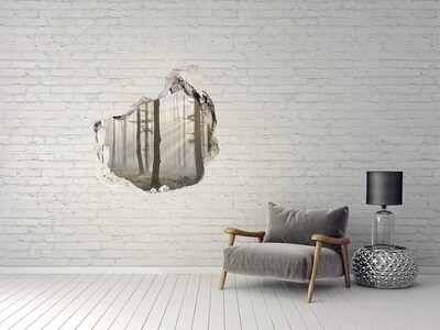 Sticker trou dans le mur Forêt brumeuse dans la lumière du matin