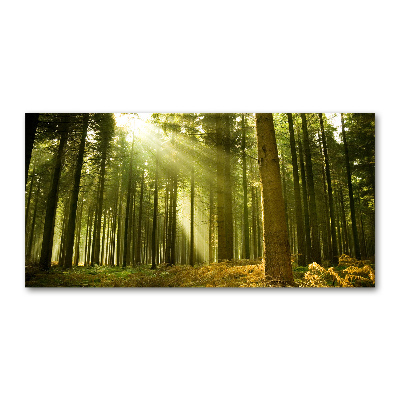 Tableau acrylique Forêt de pins