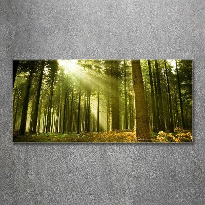 Tableau acrylique Forêt de pins