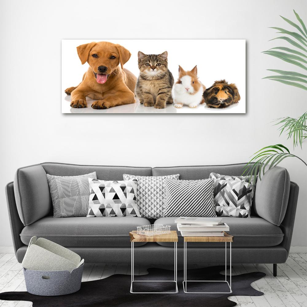 Tableau en acrylique Chien et chat