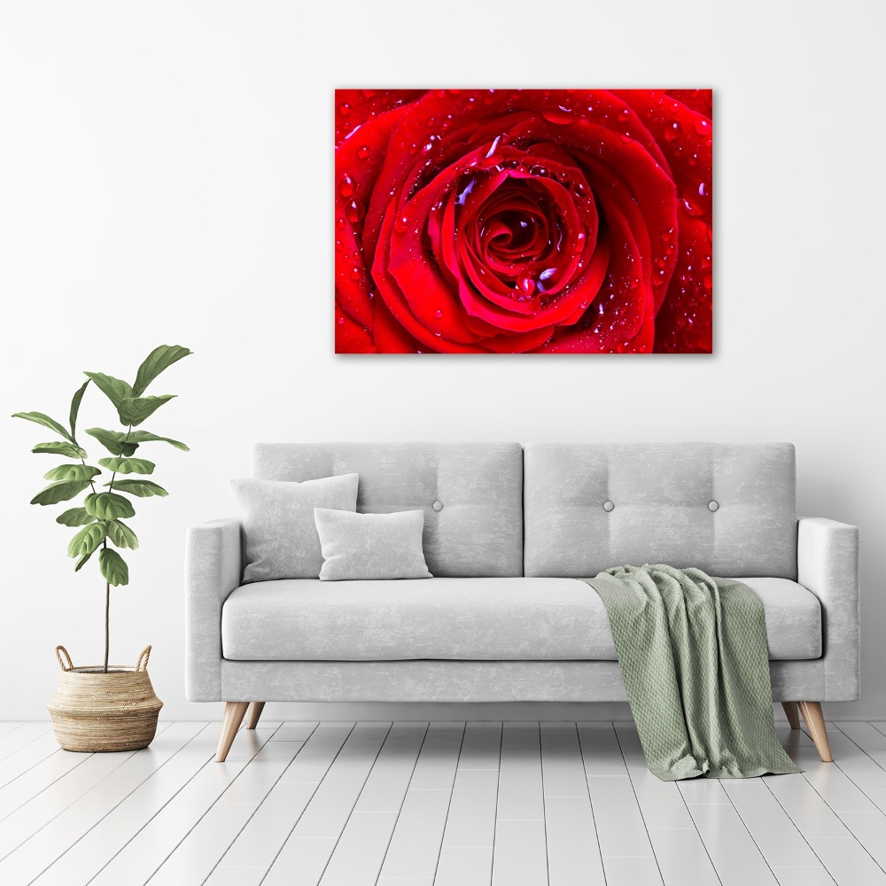 Acrylique tableau Fleur de rose