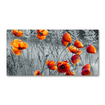 Tableau acrylique Coquelicots des champs