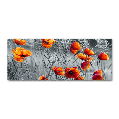 Tableau acrylique Coquelicots des champs