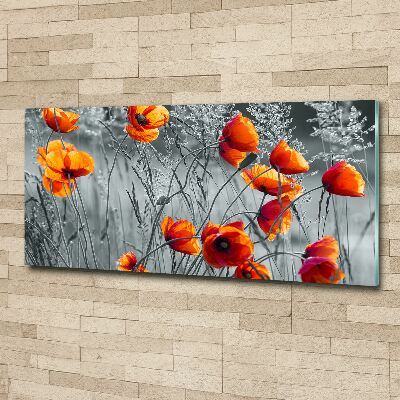 Tableau acrylique Coquelicots des champs