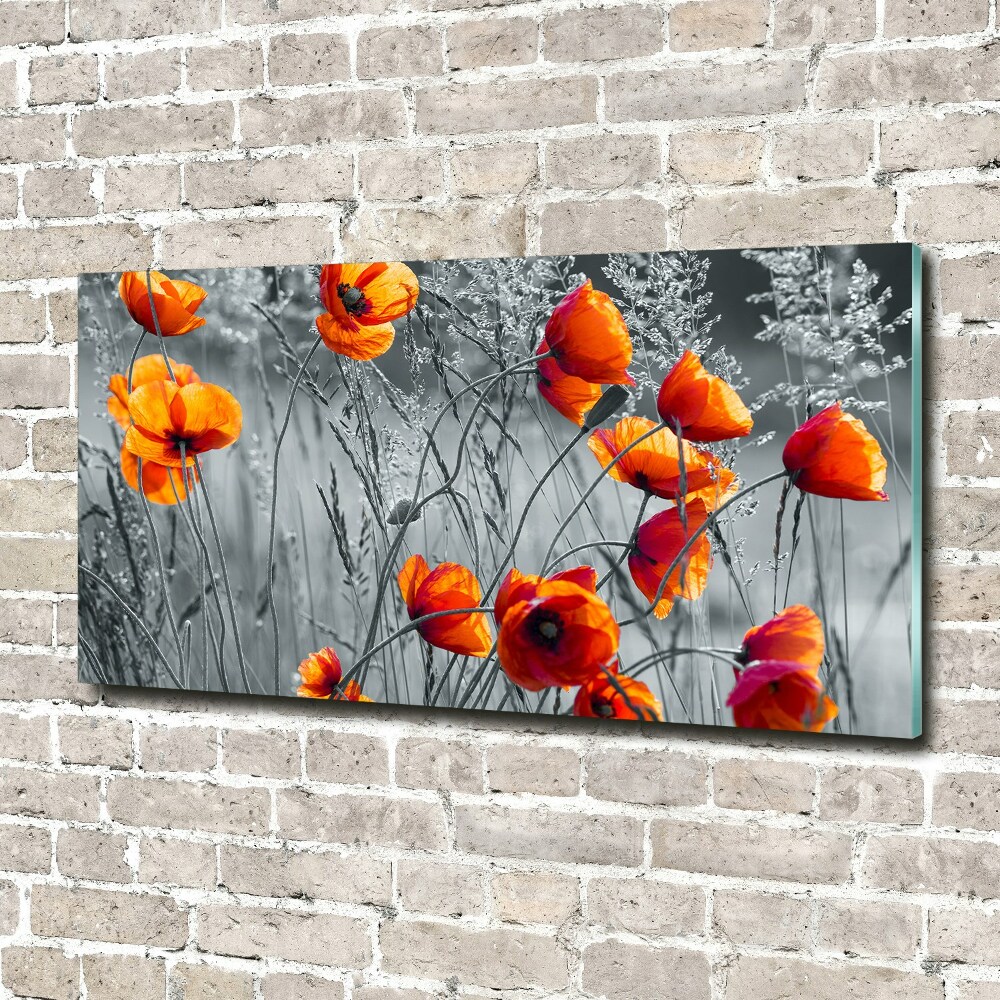 Tableau acrylique Coquelicots des champs