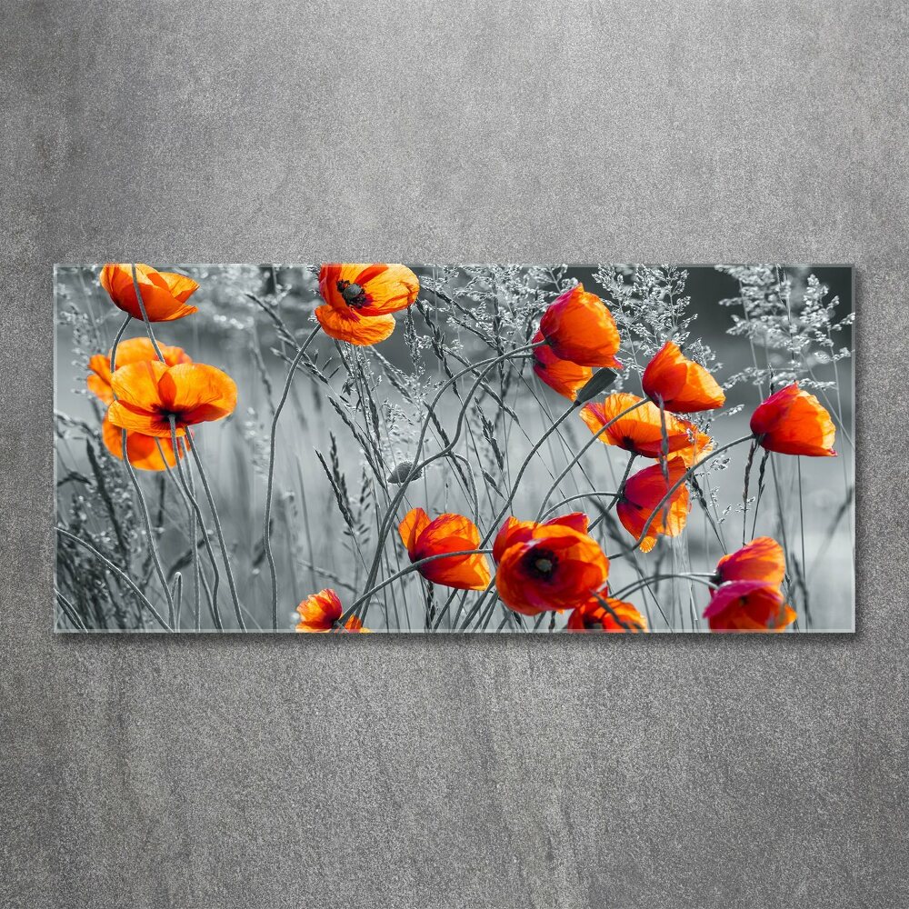 Tableau acrylique Coquelicots des champs