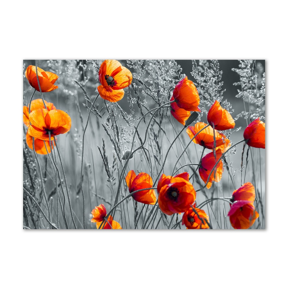 Tableau acrylique Coquelicots des champs