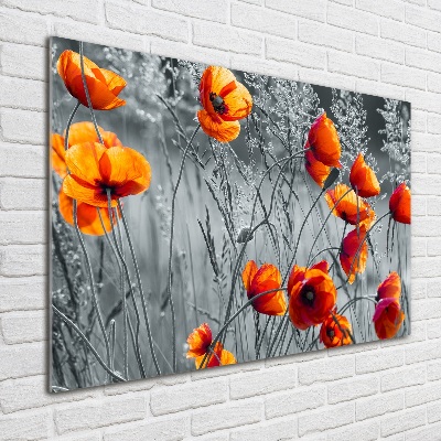 Tableau acrylique Coquelicots des champs