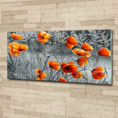 Tableau verre acrylique Coquelicots des champs