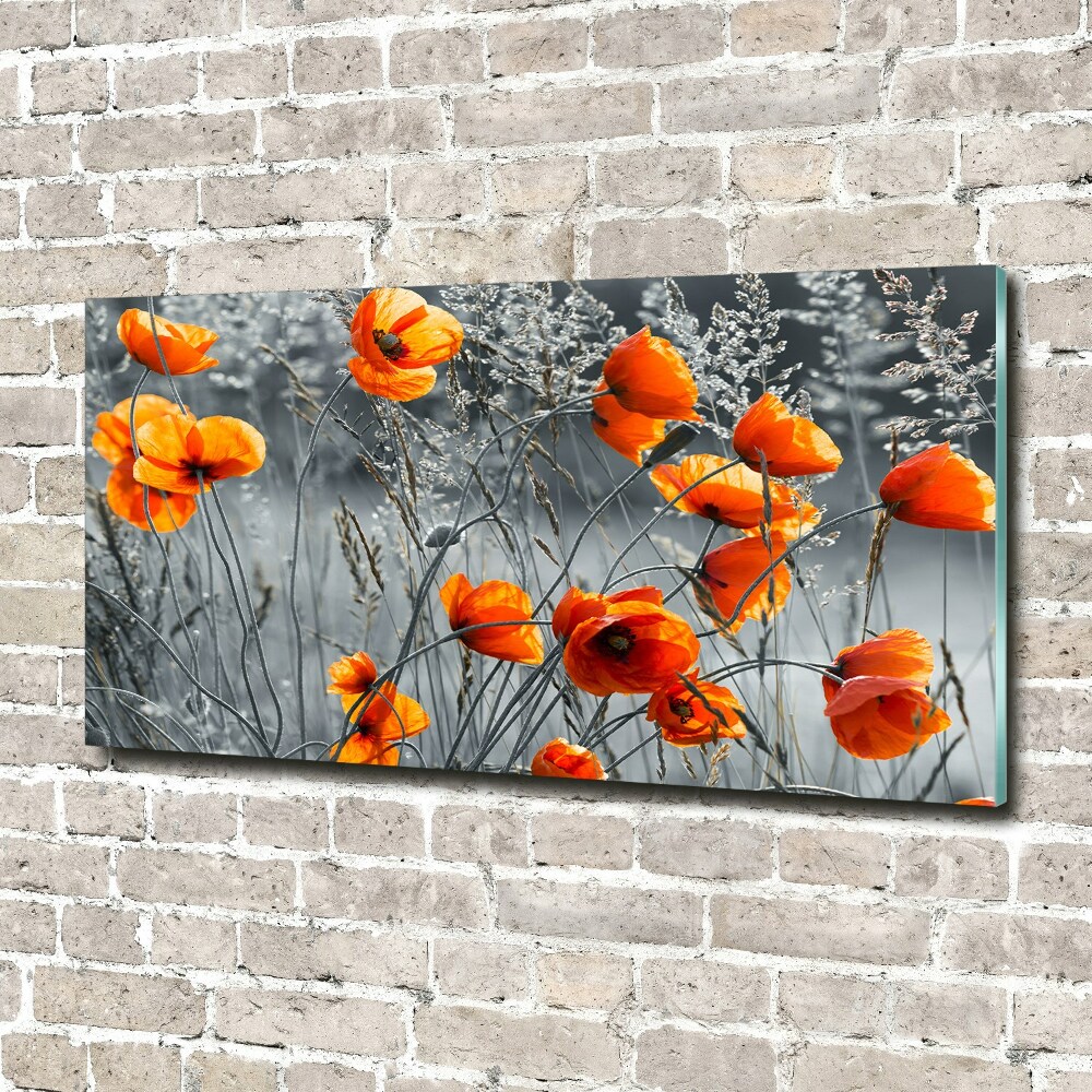 Tableau verre acrylique Coquelicots des champs