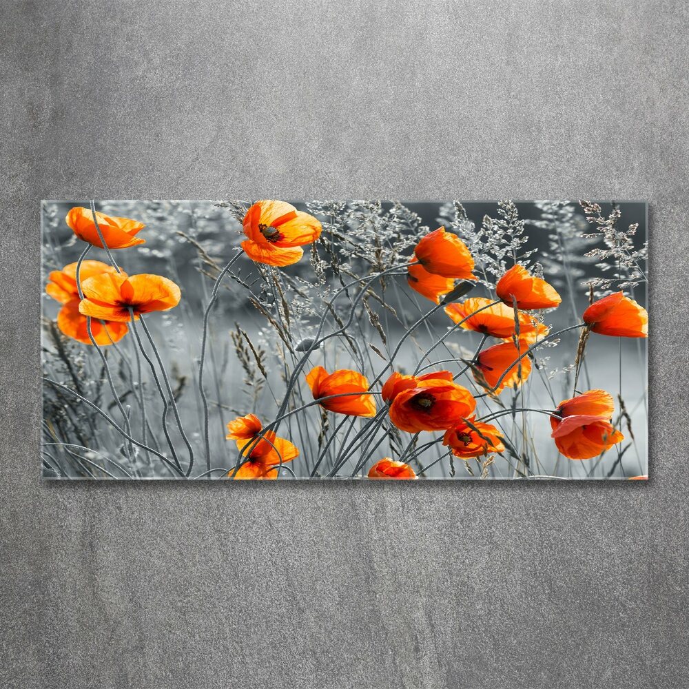 Tableau verre acrylique Coquelicots des champs