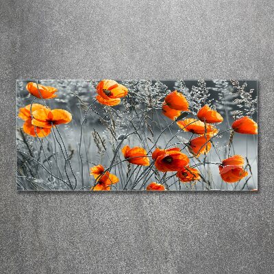 Tableau verre acrylique Coquelicots des champs