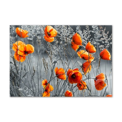 Tableau verre acrylique Coquelicots des champs