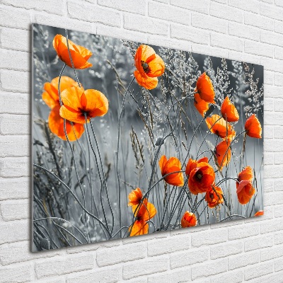 Tableau verre acrylique Coquelicots des champs