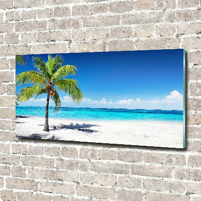 Tableau acrylique Plage tropicale