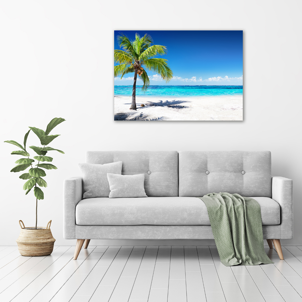 Tableau acrylique Plage tropicale