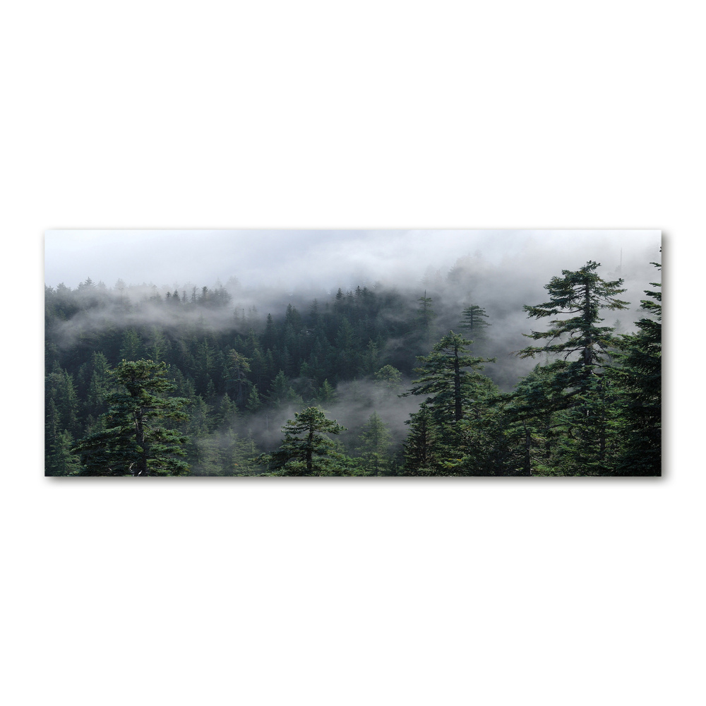 Tableau sur verre acrylique Brume de forêt