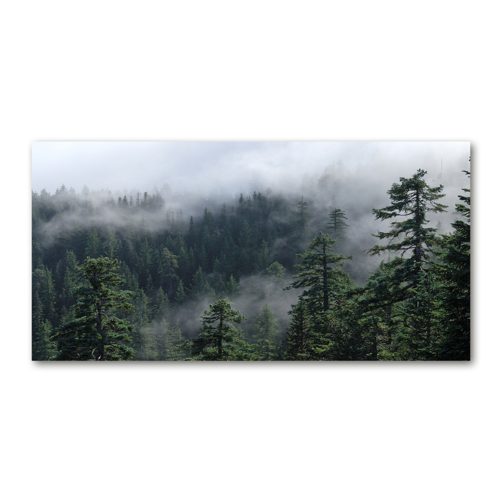 Tableau sur verre acrylique Brume de forêt