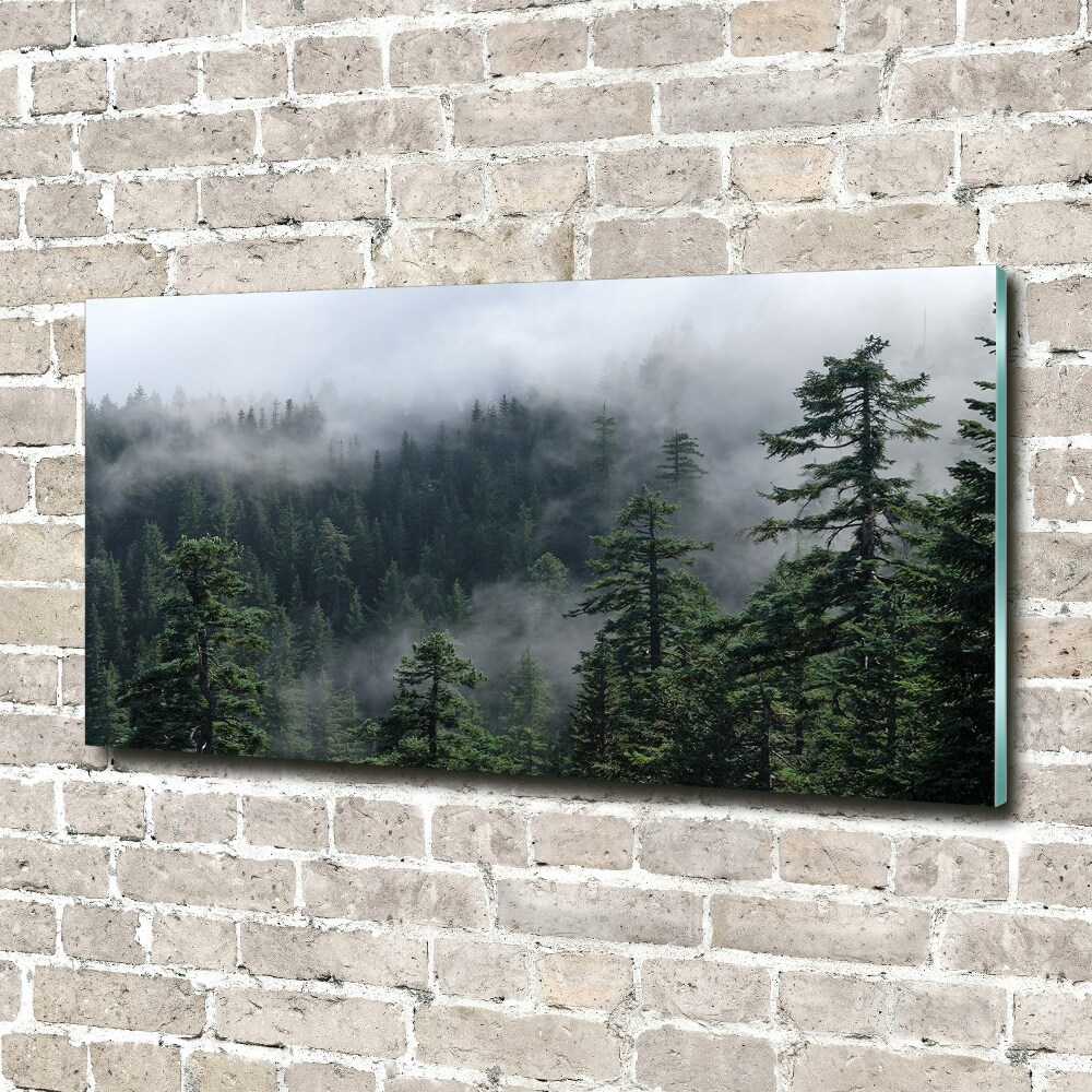 Tableau sur verre acrylique Brume de forêt