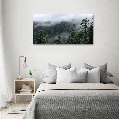 Tableau sur verre acrylique Brume de forêt