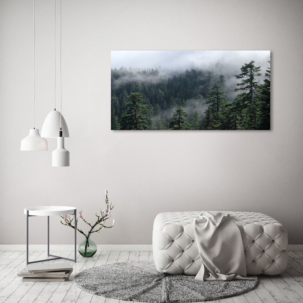 Tableau sur verre acrylique Brume de forêt