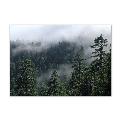 Tableau sur verre acrylique Brume de forêt