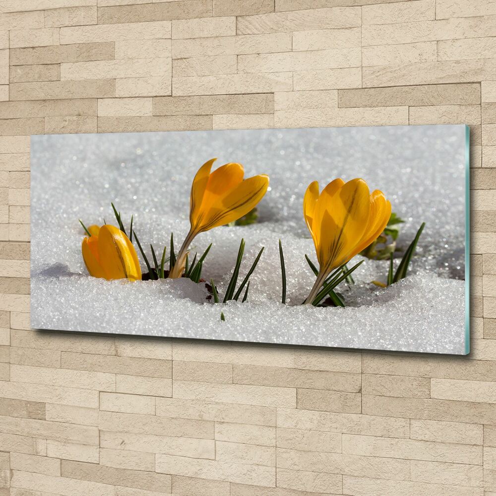 Tableau acrylique Crocus dans la neige