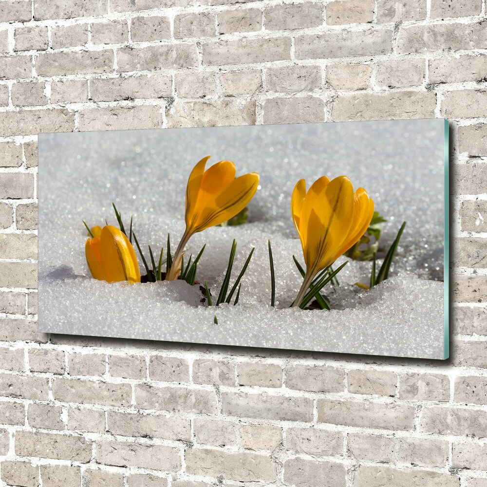 Tableau acrylique Crocus dans la neige