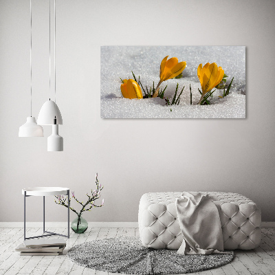 Tableau acrylique Crocus dans la neige