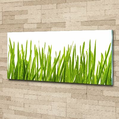 Tableau verre acrylique L'herbe