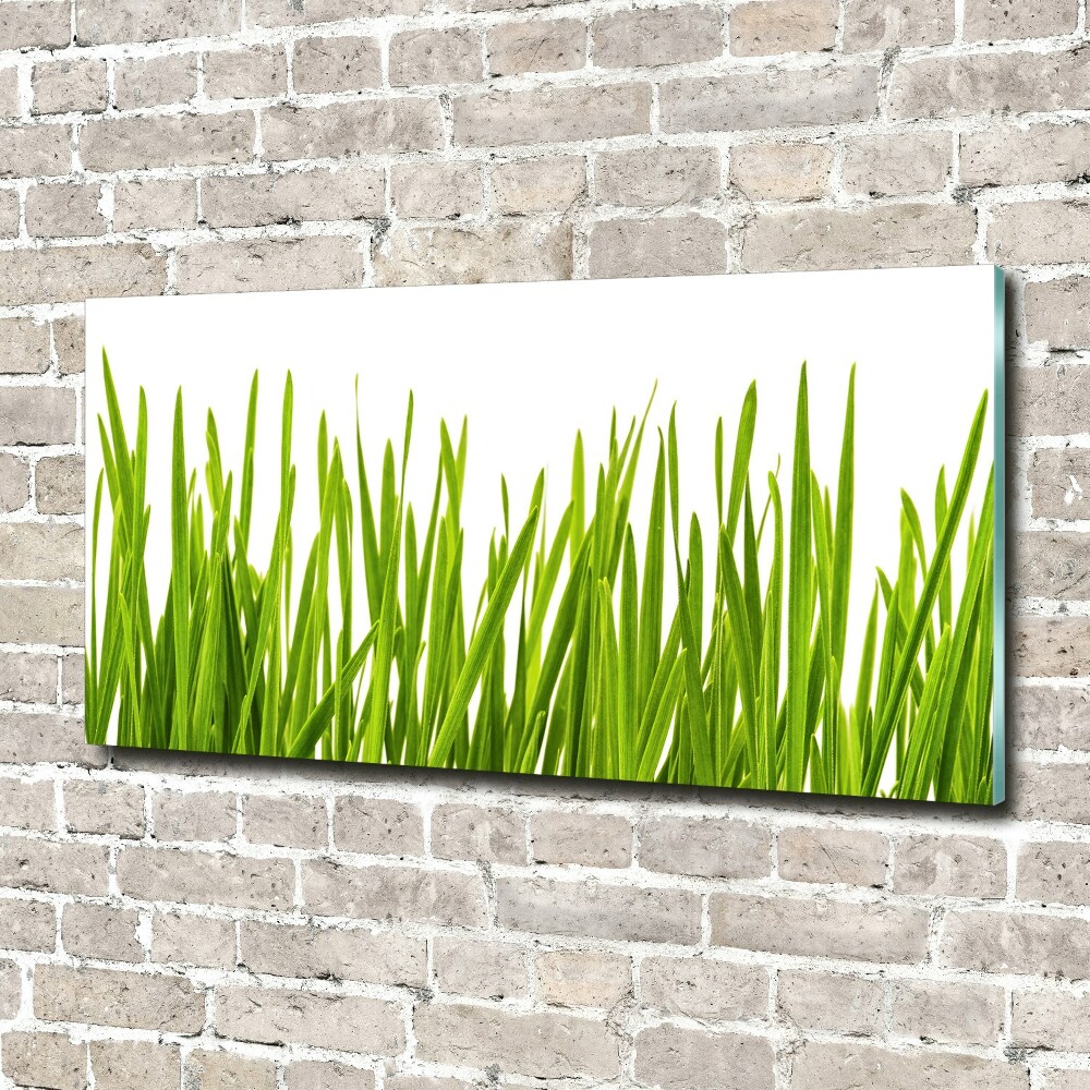 Tableau verre acrylique L'herbe