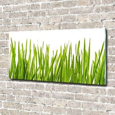 Tableau verre acrylique L'herbe