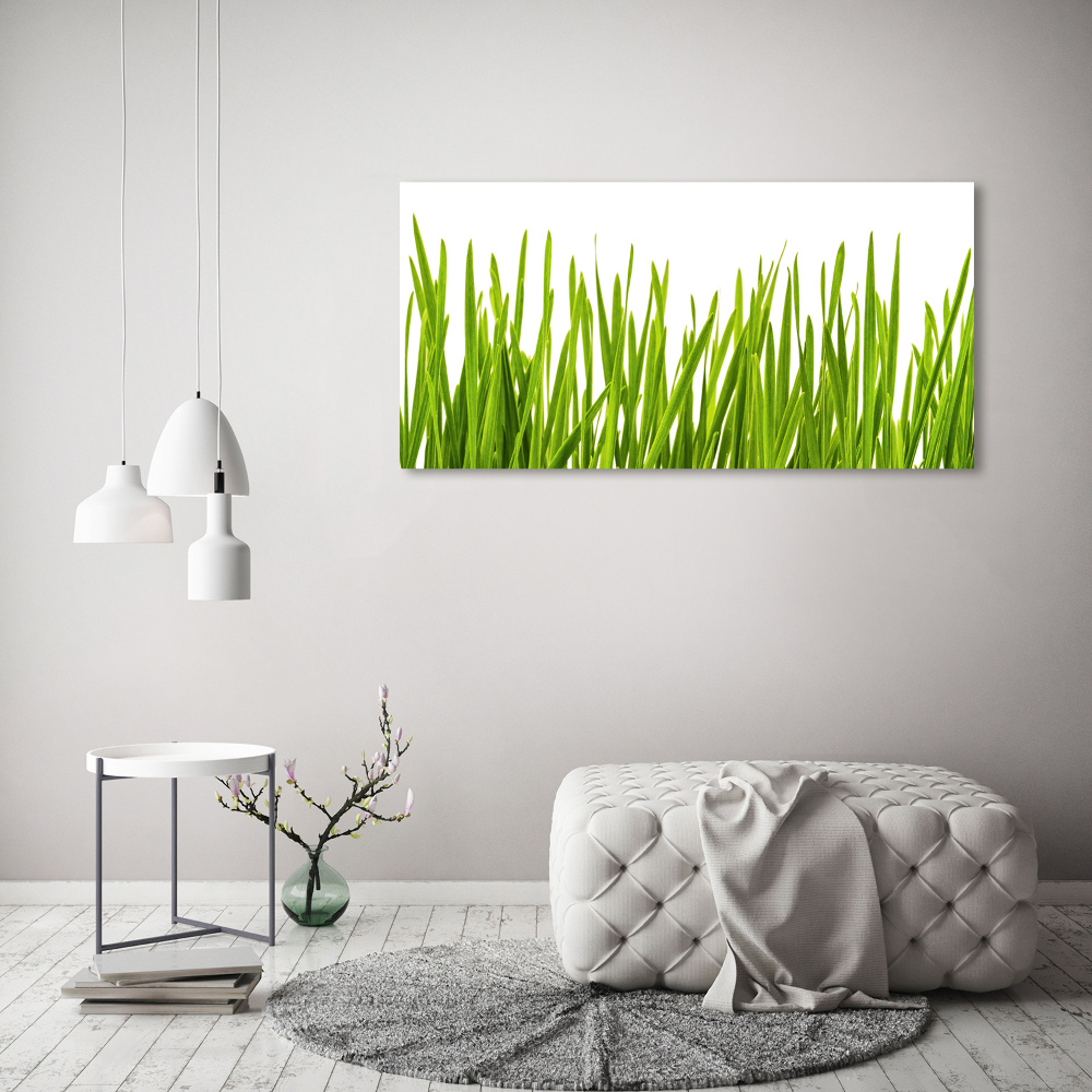 Tableau verre acrylique L'herbe