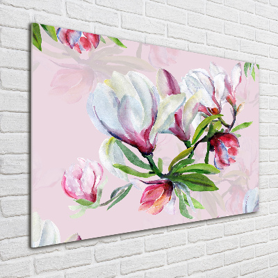 Tableau en acrylique Fleurs de magnolia