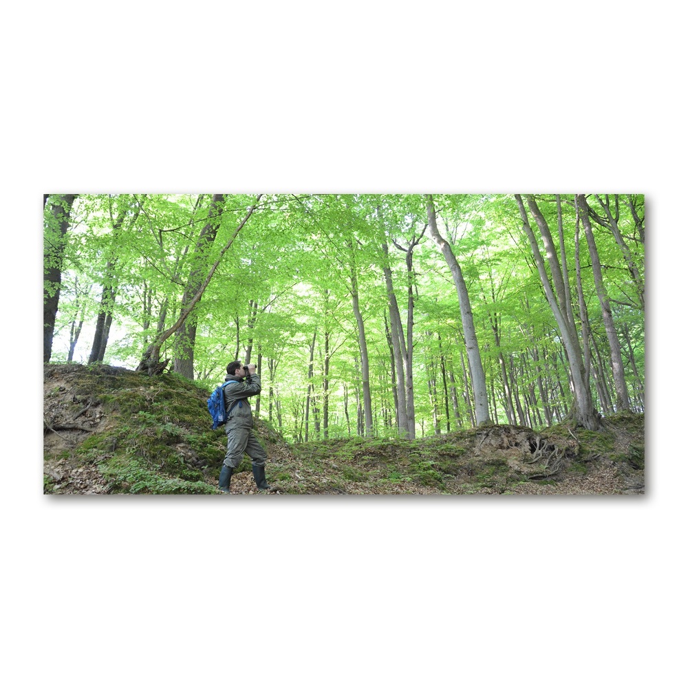 Tableau verre acrylique Ornithologue dans la forêt