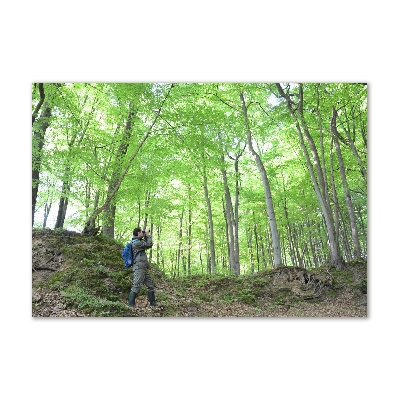 Tableau verre acrylique Ornithologue dans la forêt