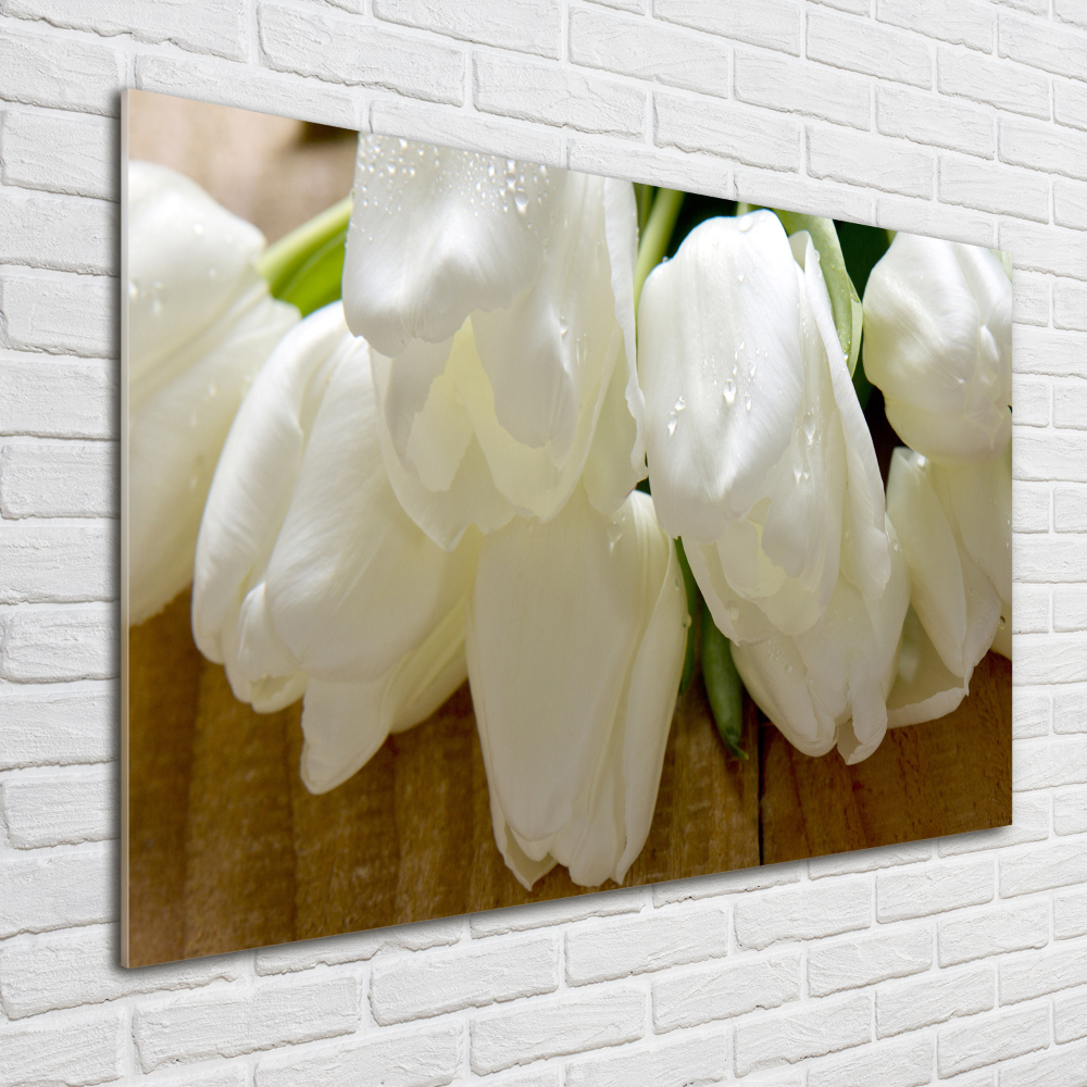 Tableau verre acrylique Tulipes blanches